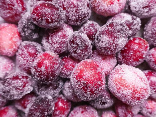 "Bonbon" Canneberges Sucrées Vanille & Orange - Vegan
