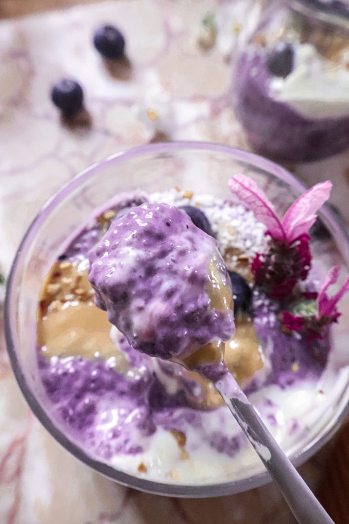 Pudding de Chia Vegan aux Myrtilles