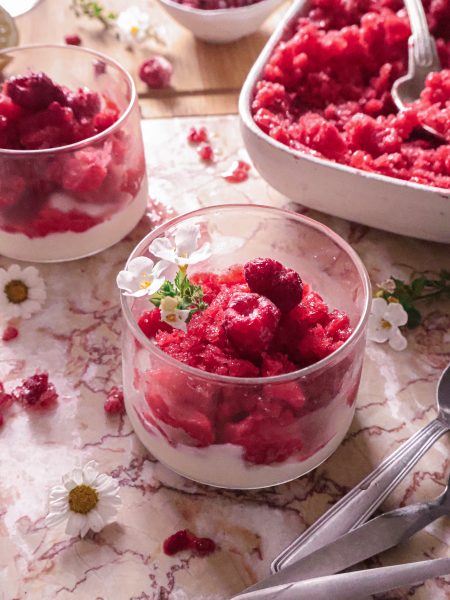 Granité aux Fruits Rouges