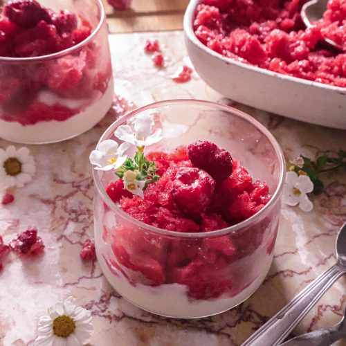Granité aux Fruits Rouges