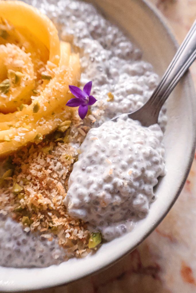 Pudding de Chia Vegan Mangue & Coco