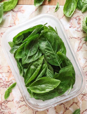 Comment Conserver les Feuilles de Basilic