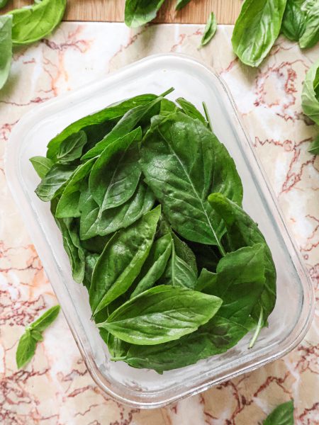 Comment Conserver les Feuilles de Basilic