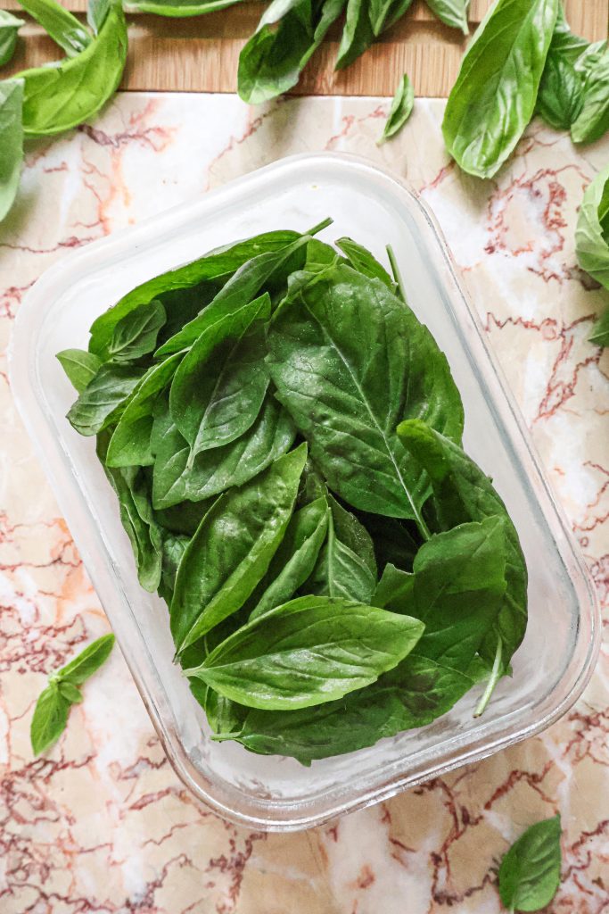 Comment Conserver les Feuilles de Basilic