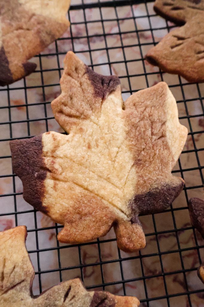 Biscuits Vegan Marbrés Feuilles d’Automne