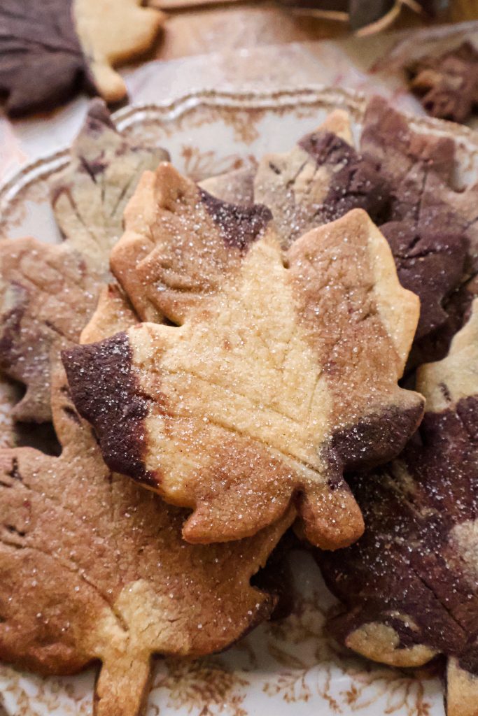 Biscuits Vegan Marbrés Feuilles d’Automne