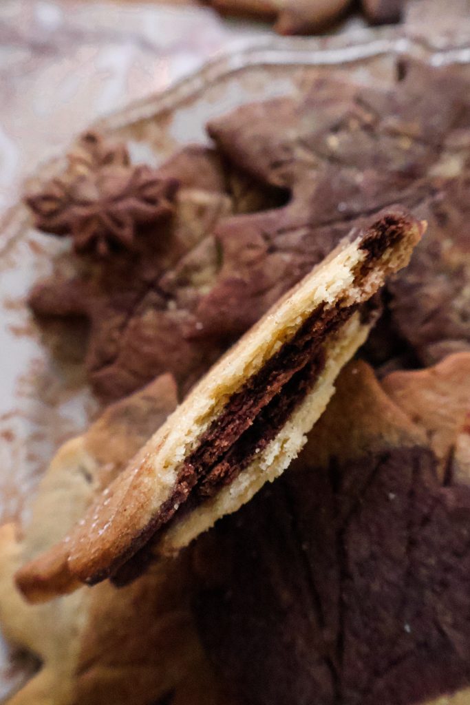 Biscuits Vegan Marbrés Feuilles d’Automne