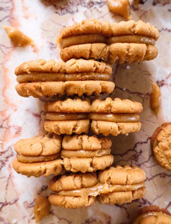 Nutter Butter Vegan - Biscuits Cacahuète Express
